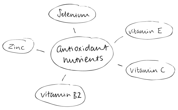 antioxidant nutrients