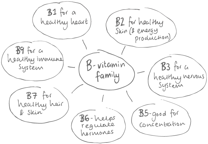 vitamin b family