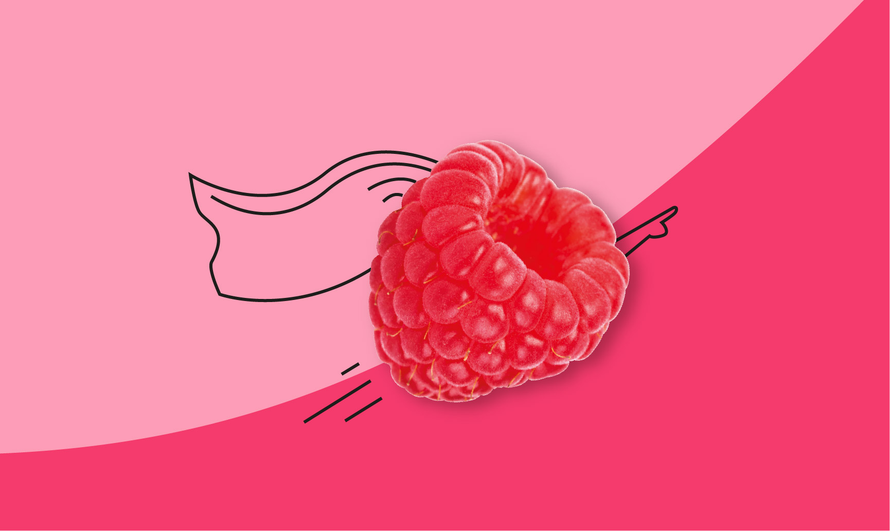 super raspberry illustration
