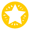 health star badge